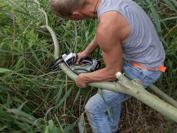 NEXXSAW Compact Chainsaw 18V 1 X 2.0Ah Li-ion 7 NEXXSAW Compact Chainsaw 18V 1 X 2.0Ah Li-ion - Image 5