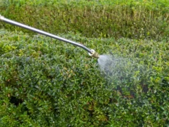 MAXXPACK Pressure Sprayer 7.5 Litre 18V Bare Unit -HomeTool Haven BAT7064050 INUSE4