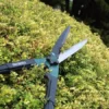 Countryman Hedge Shear 250mm (10in) 1 Countryman Hedge Shear 250mm (10in) -HomeTool Haven FAICOUHS10 INUSE1