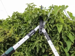 HomeTool Haven 13 Countryman Telescopic Hedge Shear 12in Blade