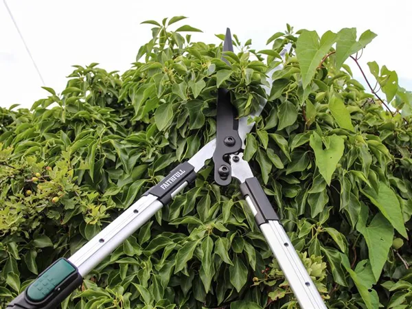 Countryman Telescopic Hedge Shear 12in Blade 3 Countryman Telescopic Hedge Shear 12in Blade