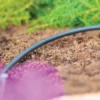 Hozelock 2772 Micro Irrigation Supply Hose 25m -HomeTool Haven HOZ27720025 INUSE1
