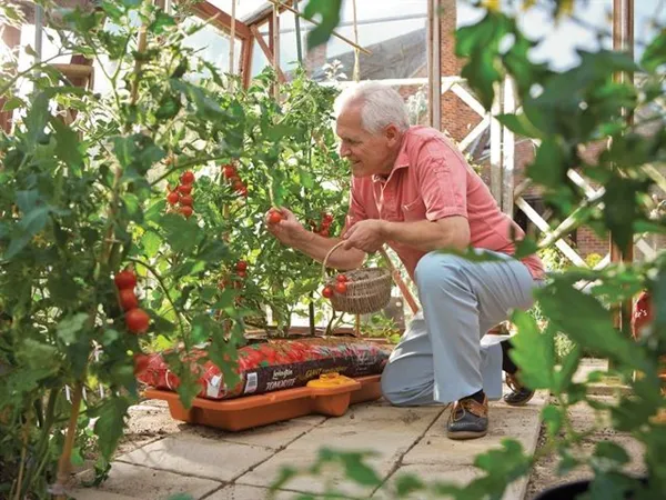 Hozelock 2810 Growbag Waterer 4 Hozelock 2810 Growbag Waterer - Image 2