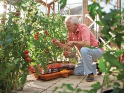 Hozelock 2810 Growbag Waterer 10 Hozelock 2810 Growbag Waterer -HomeTool Haven HOZ2810 INUSE1