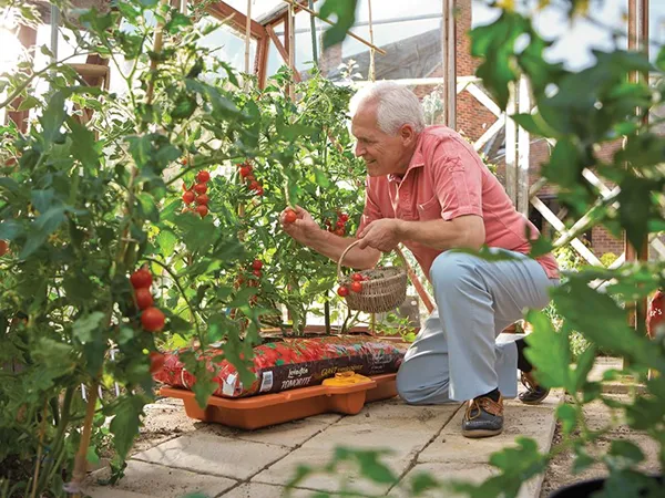 Hozelock 2810 Growbag Waterer 5 Hozelock 2810 Growbag Waterer - Image 3