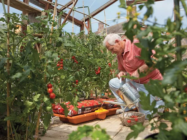 Hozelock 2810 Growbag Waterer 6 Hozelock 2810 Growbag Waterer - Image 4